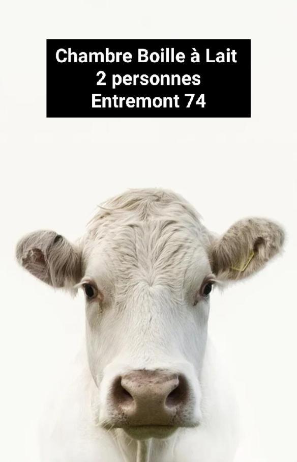 Chambre Trefle Entremont Kültér fotó